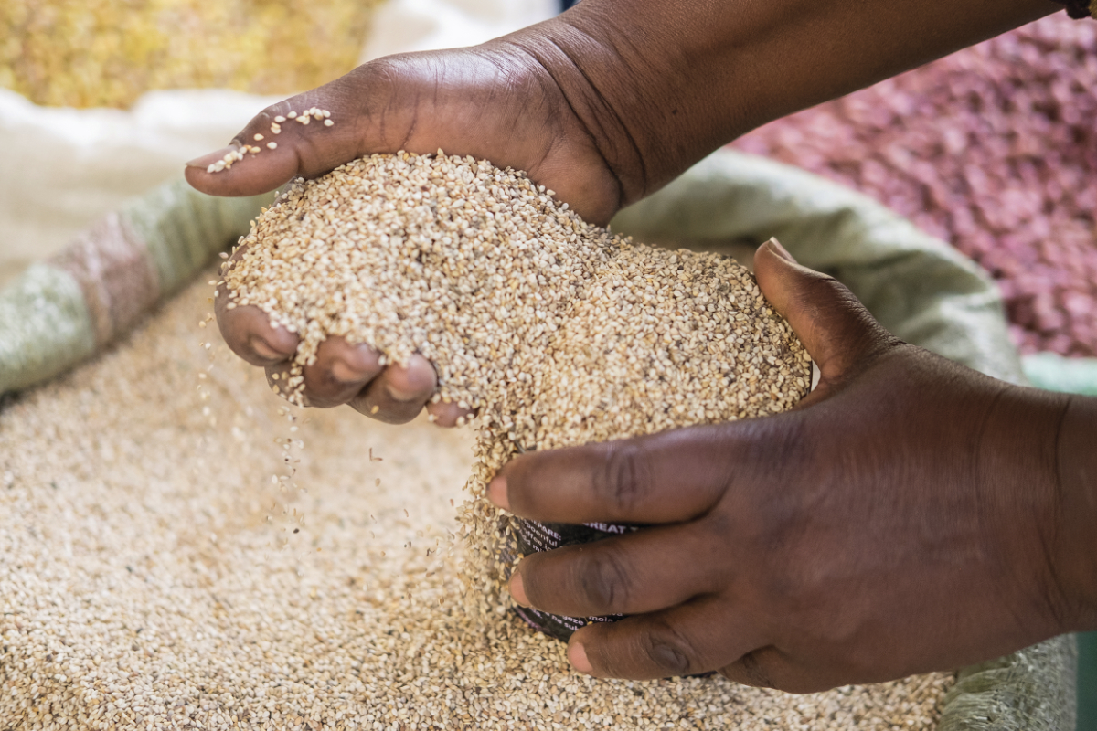 Maganjo grain Millers Membership Directory The Grain Council of Uganda