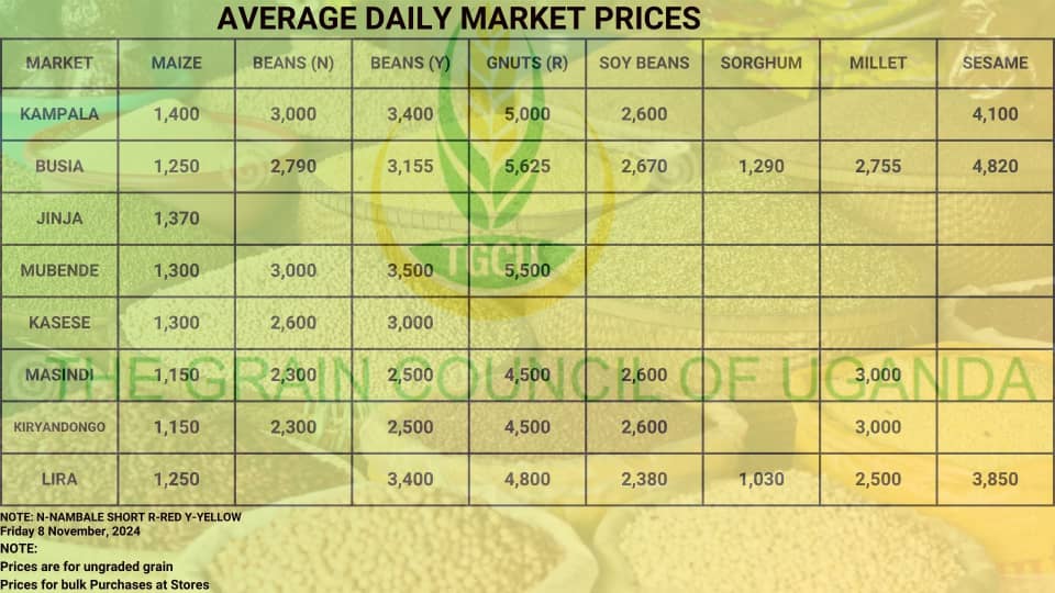 average grain prices