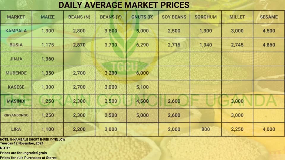 Grain Prices