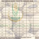Grain Prices
