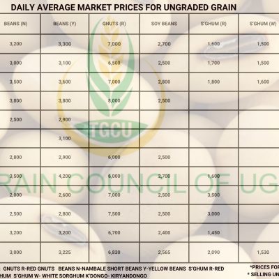 Grain Prices