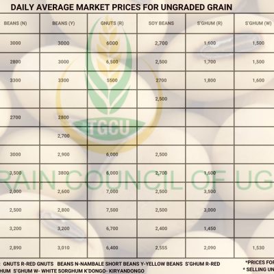 Grain Prices