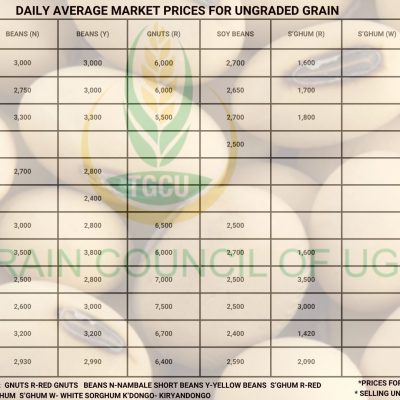 Grain Prices