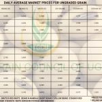 Grain Prices