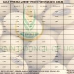 Grain Prices