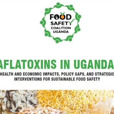 Report on Aflatoxins