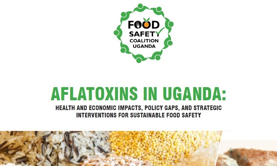 Report on Aflatoxins