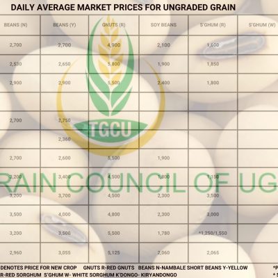Grain Prices