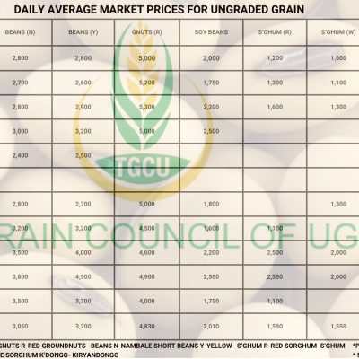Grain Prices