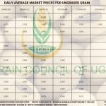Grain Prices