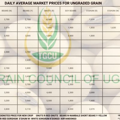 Grain Prices
