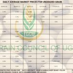 Grain Prices