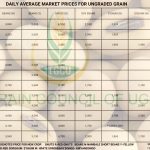Grain Prices