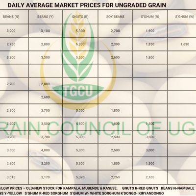 Grain Prices