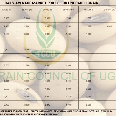 Grain Prices
