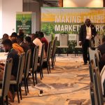 Making Maize Markets Work