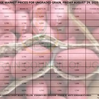 Grain Prices