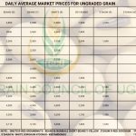 Grain Prices