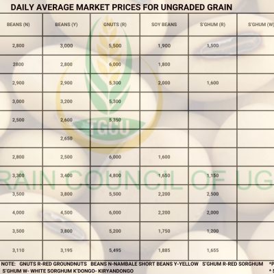 Grain Prices