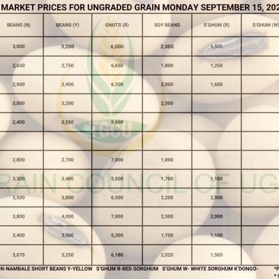 Grain Prices