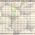 Grain Prices