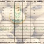 Grain Prices