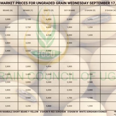 Grain Prices