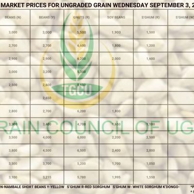 Grain Prices