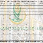 Grain Prices