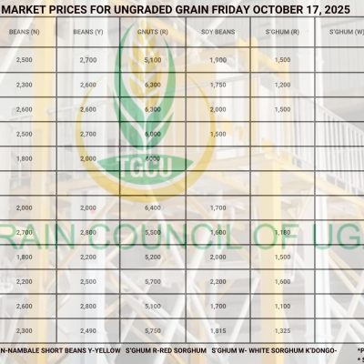 Grain Prices