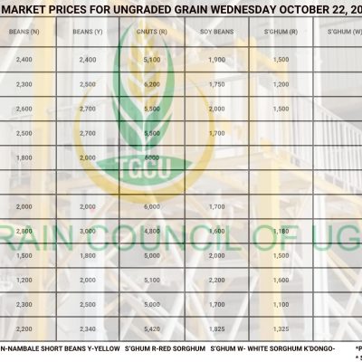 Grain Prices