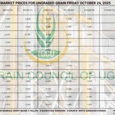 Grain Prices