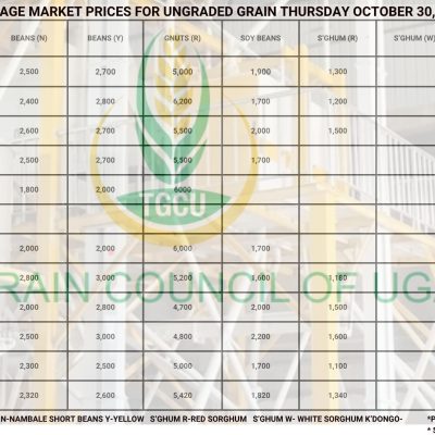 Grain Market Prices