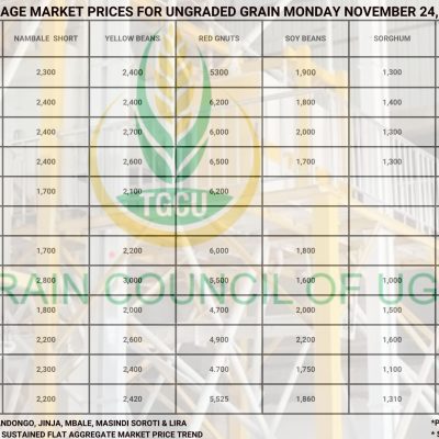 Grain Market Prices
