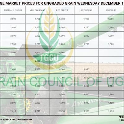 Grain Market Prices