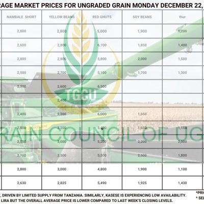 Grain Market Prices