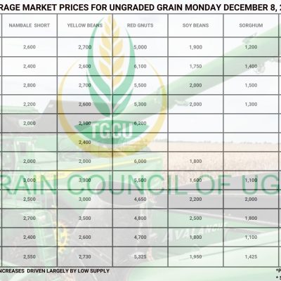Grain Market Prices