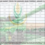 Today's Grain Prices