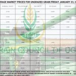 Today's Grain Prices