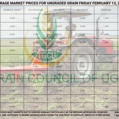 Grain Prices