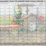 Grain Prices