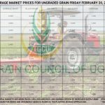 Grain Prices