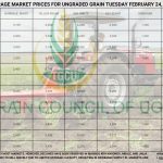 Grain Prices