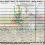 Grain Prices