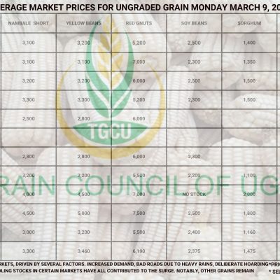 Grain Prices