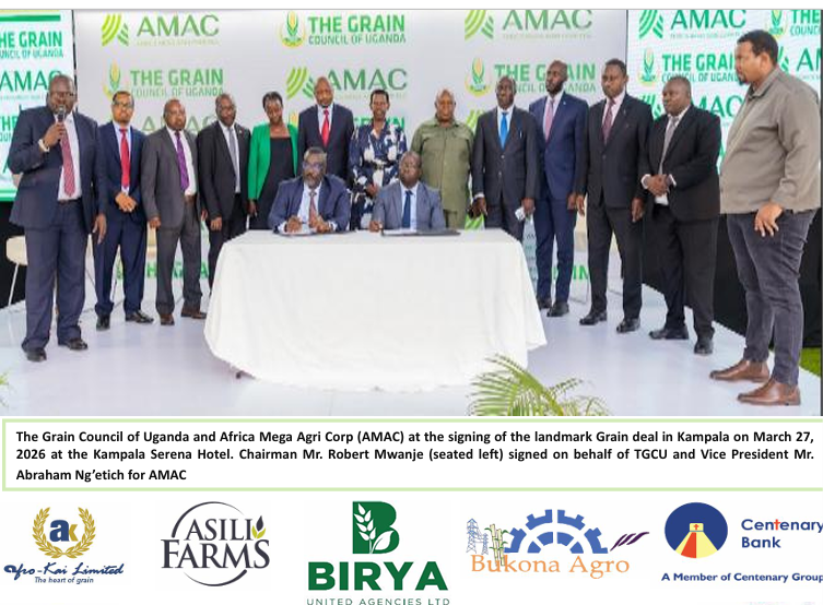 The Grain News Q1 2026