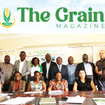 Grain News